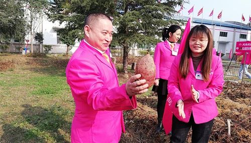 后疫情時(shí)代，薯類食品如何成為健康餐桌的“常駐嘉賓”？