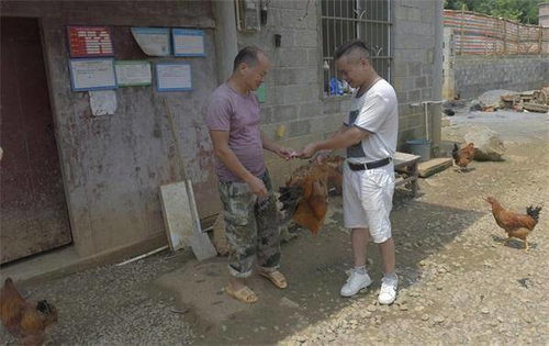 積極消費農產品，聯合助力扶貧新篇章