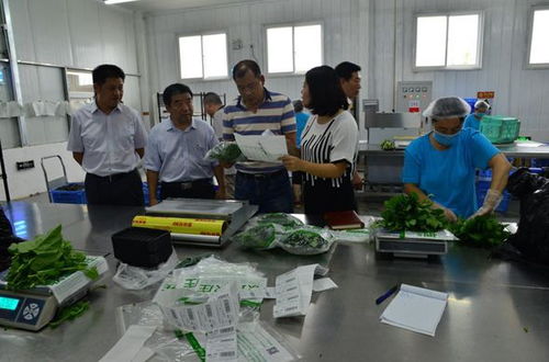 云南省交叉互查第二批國家農產品質量安全縣創建工作獲突破進展 聚焦農作物安全協同提升