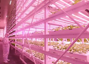 2018中國國際植物工廠及農業照明博覽會 點亮農作物未來之光
