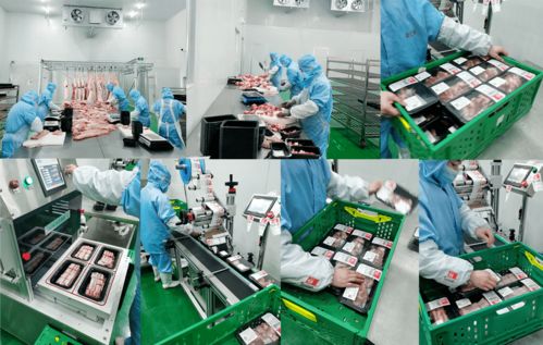 零號土豬澎湃加持，金匯鮮2.0新工廠盛大落成演繹生鮮新征程